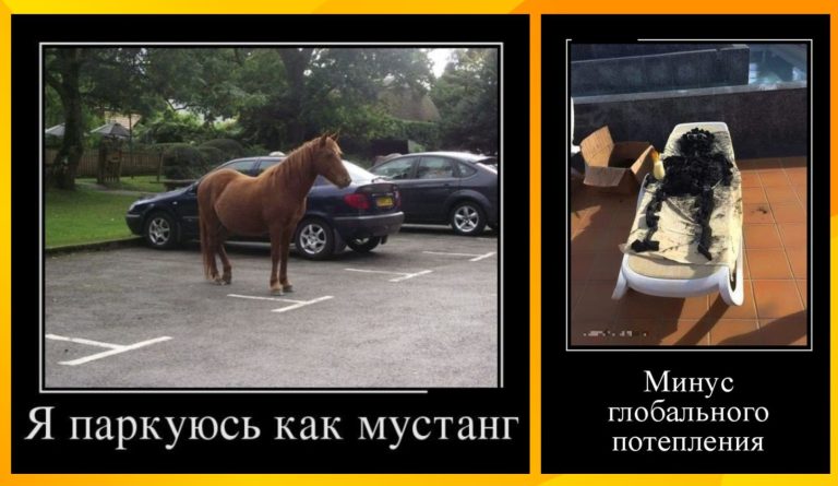 Новые демотиваторы и парковка мустанга