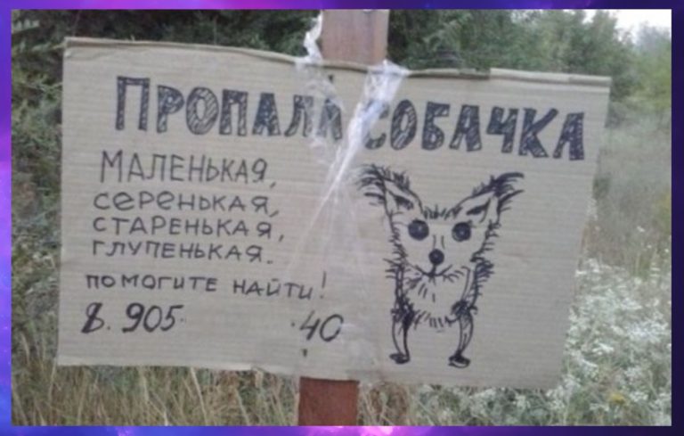Смех под каждым углом: лучшие шедевры стенописцев и объявленцев