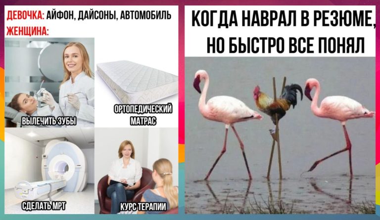 Прикольные мемы и картинки с надписями от 11 декабря