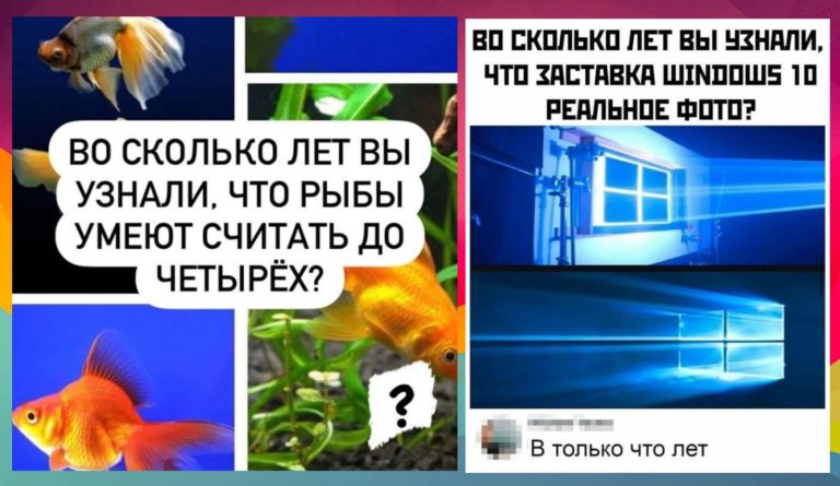 Ого, серьезно? Пользователи делятся открытиями уровня ‘лучше поздно, чем никогда