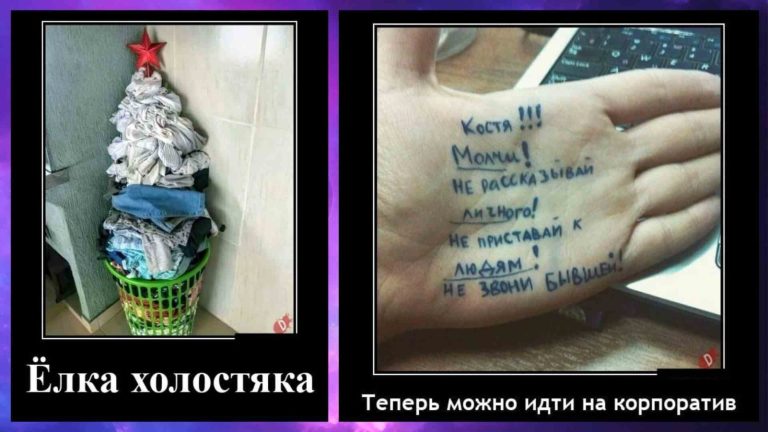 Новые демотиваторы и ёлка холостяка