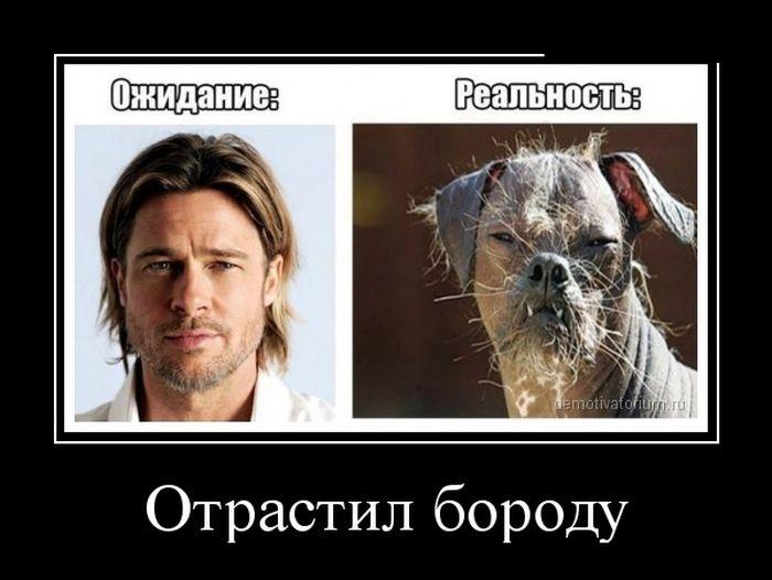 Новые демотиваторы и Бред Питт