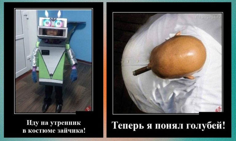 Новые демотиваторы и утренник в костюме зайчика