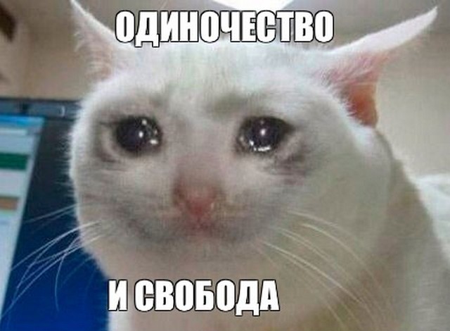 Самодостаточные знаки Зодиака: кто ценит одиночество больше других?