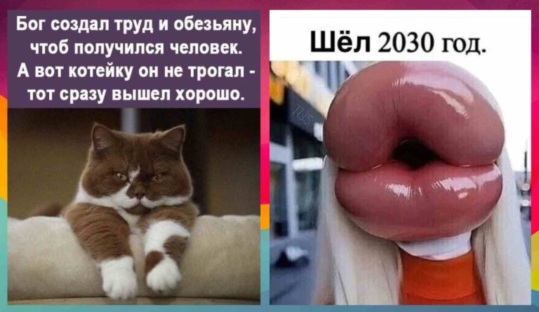 Свежие мемы за день и губы в 2030 году
