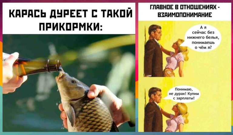 Прикольные картинки с надписями и карась дуреет