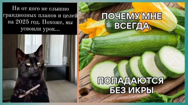 Прикольные картинки с надписями и цуккини без икры