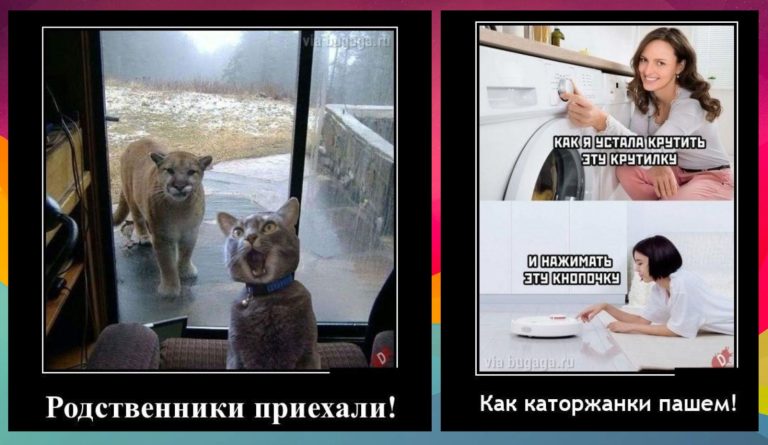 Новые демотиваторы и приезд родни