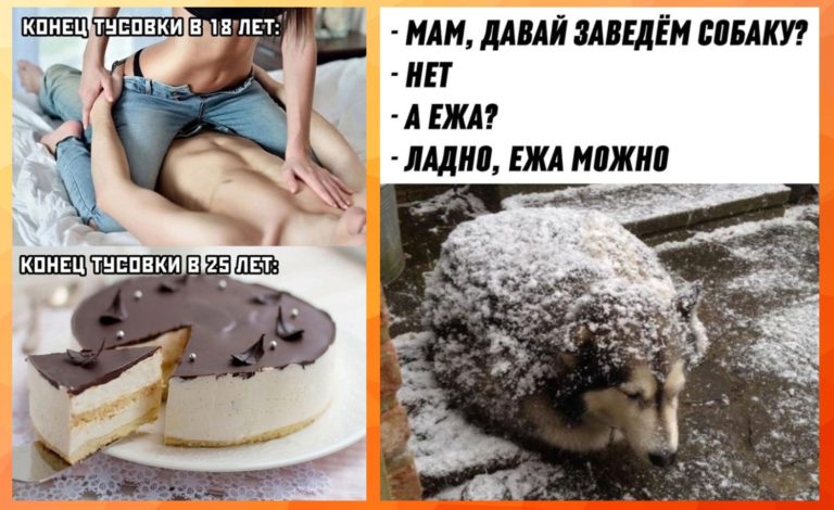 Прикольные картинки с надписями и давайте заведем собаку