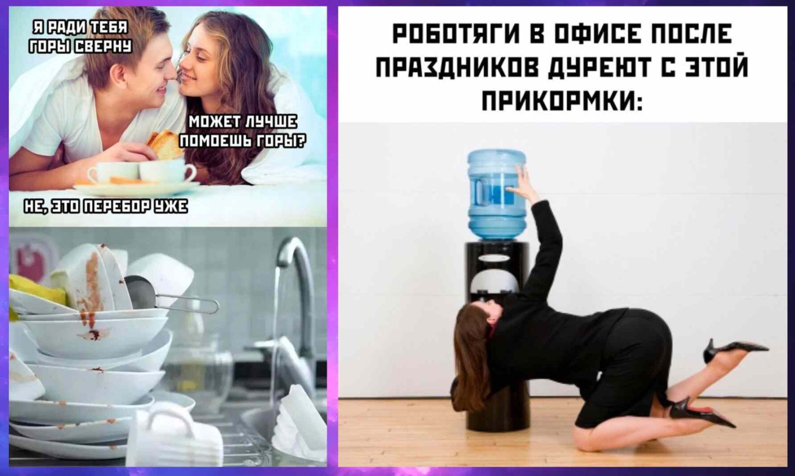 Смешные собаки фото с надписями