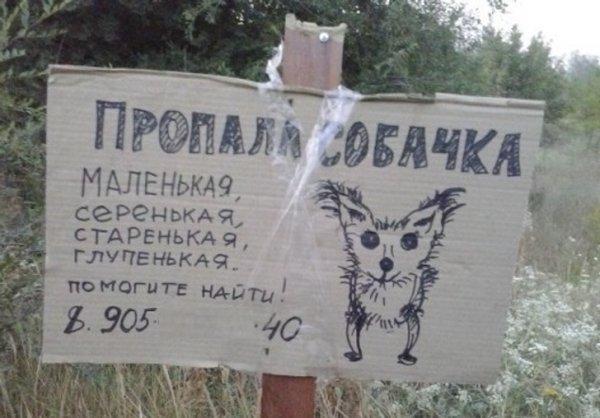 До слёз: подборка смешных объявлений и надписей