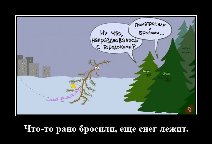 Новые демотиваторы и время выбрасывать ёлку