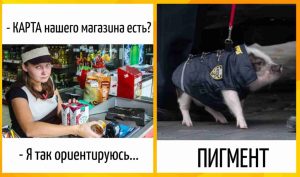 Игра слов которая не приходила вам в голову: каламбуры, которые цепляют
