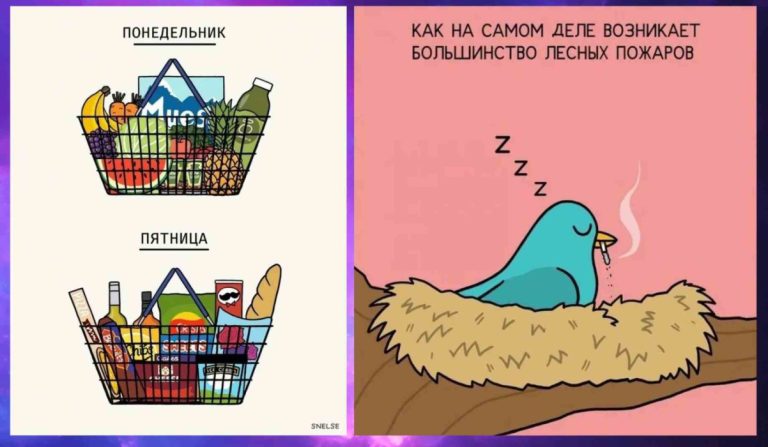 Смех и смысл: лучшие работы карикатуриста Стива Нельсона