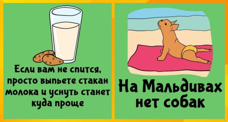 19 интересных фактов чтобы сверкнуть эрудицией и собаки на Мальдивах