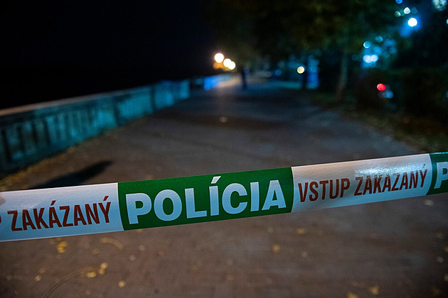 В Словакии в гимназии ученик ножом убил двух человек