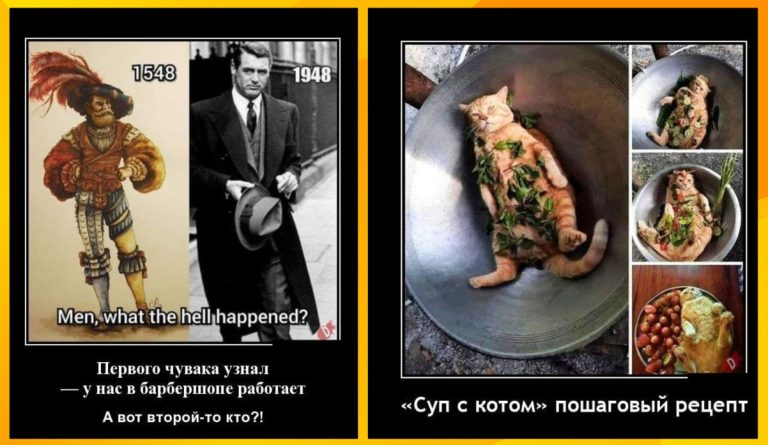 Новые демотиваторы и суп с котом
