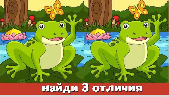 Найди три отличия между лягушками и проверь свой IQ