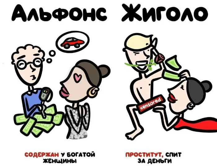 Не путай тёплое с мягким: 15 забавных отличий, о которых вы не догадывались