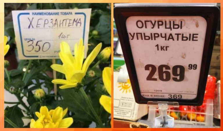 Ценник, который рассмешит: неудачные формулировки и их последствия