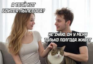 Интернет мемы на утро среды и кот который не боится пылесоса