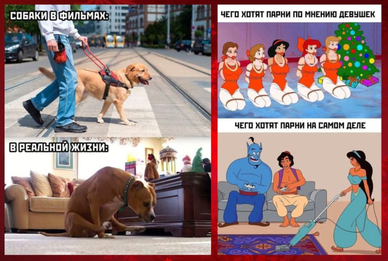 Прикольные картинки с надписями и собаки из фильмов