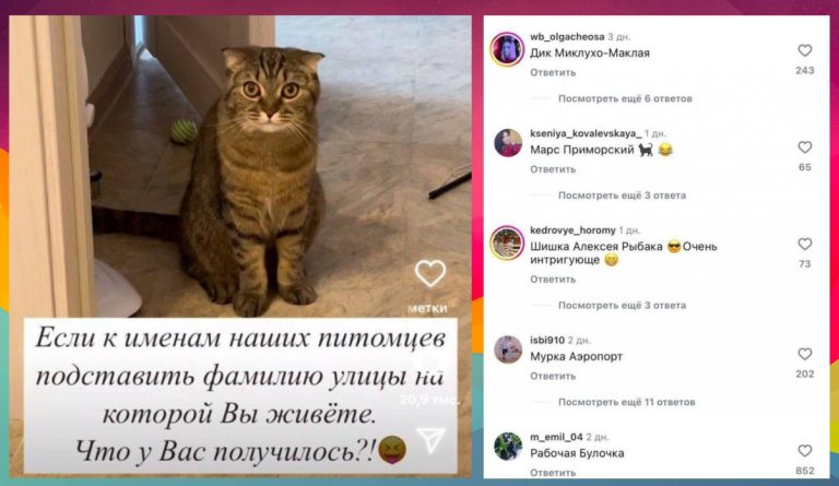 Кошачьи клички с геолокацией: флешмоб, который покорил соцсети