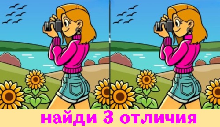 Два фотографа — три отличия: тест IQ «Глаз-алмаз»