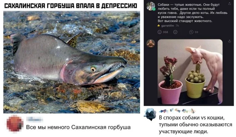 Забавные комментарии, которые как острый соус приправляют сам пост