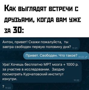 Коты мемы без надписей
