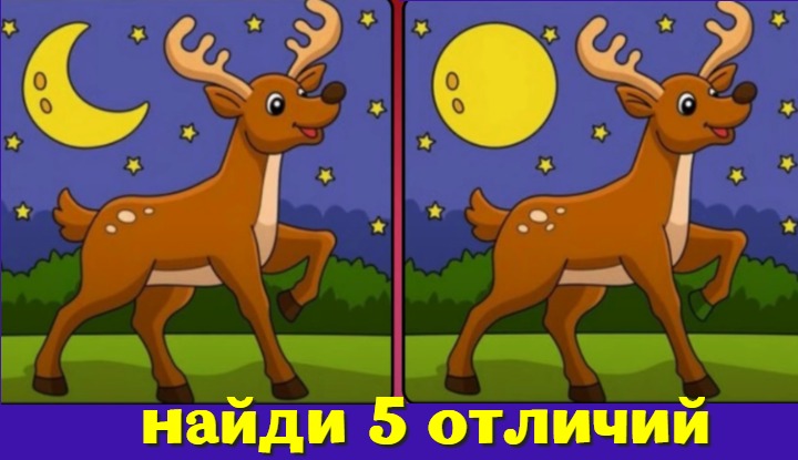 Лунный тест: найди пять отличий между оленями