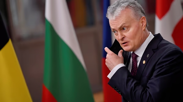 Президент Литвы засомневался в необходимости строительства странами Балтии совместной электростанции