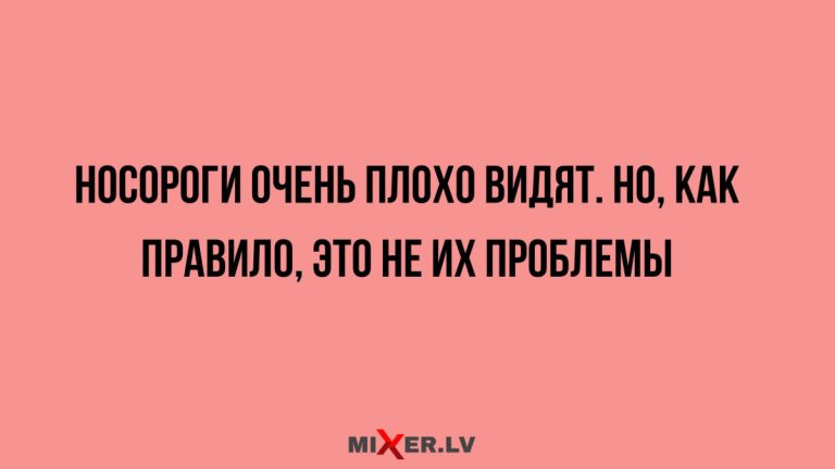 Юмор за день и носороги