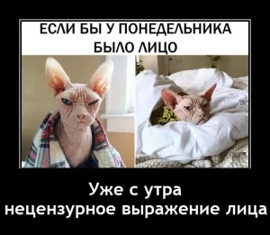 Смешные демотиваторы и лицо понедельника