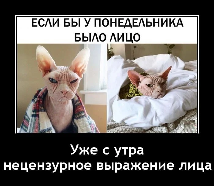 Смешные демотиваторы и лицо понедельника