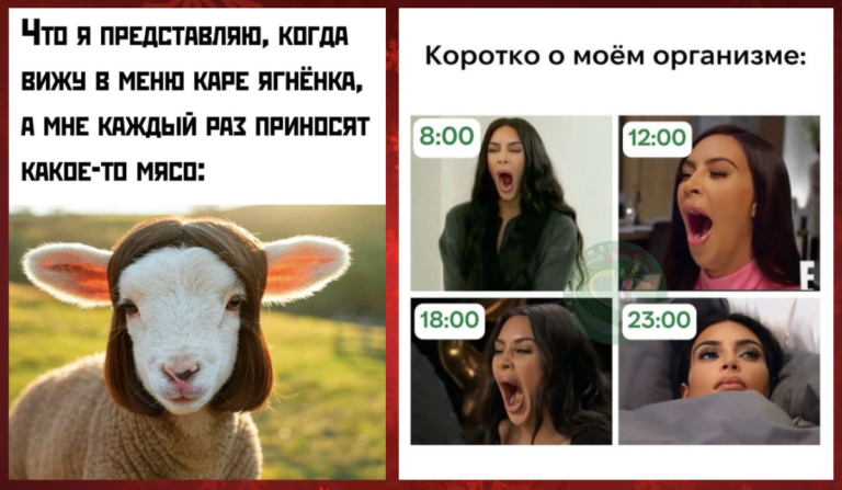 Смешные картинки с надписями и каре ягненка