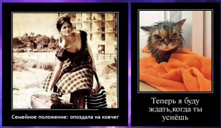 Свежие демотиваторы и опоздавшие на ковчег