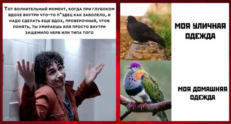 Смешные картинки с надписями и уличная одежда