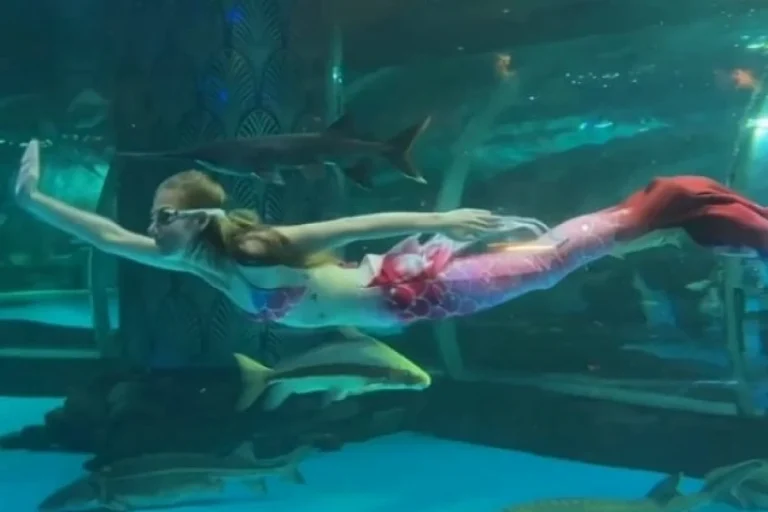 В Китае огромный осетр попытался проглотить российскую синхронистку