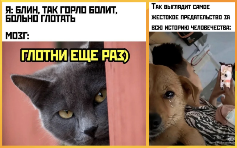 Интернет мемы в пятницу и жестокое предательство