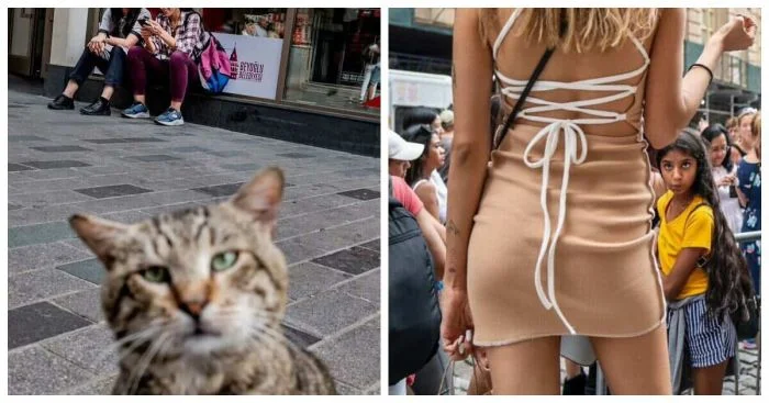 Искусство в каждом моменте: уличные фотографии, которые покажут города с новой стороны