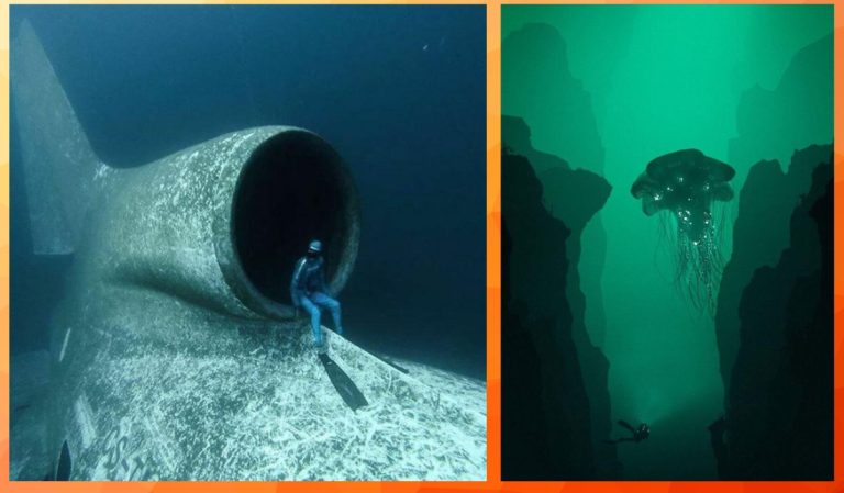 Фотографии, которые лучше не смотреть, если страдаете страхом воды