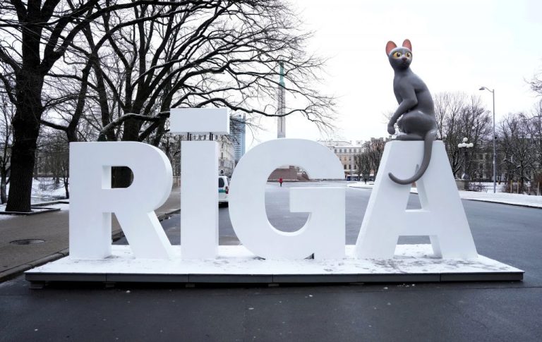 В центре Риги поселился кот-кинозвезда из «Потока»
