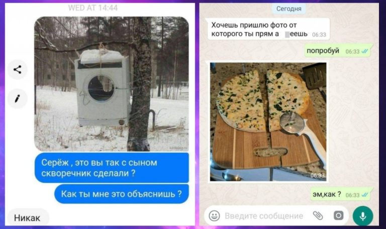 Два десятка смешных смс-переписок и скворечник