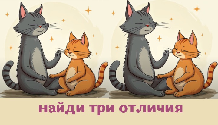 Два кота — три отличия: найди их и проверь свой IQ