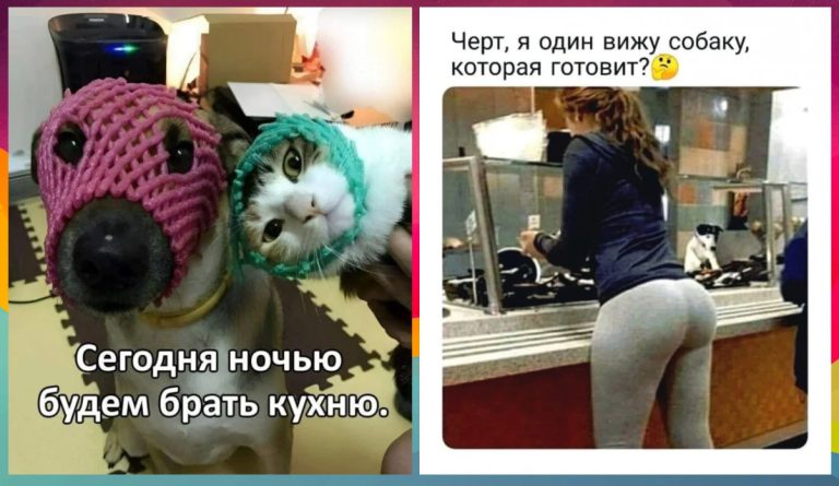 Утро без прикольных картинок — это как чай без сахара