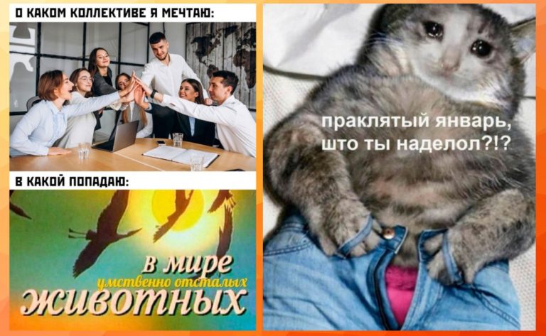 Смешные картинки с надписями и проклятый январь