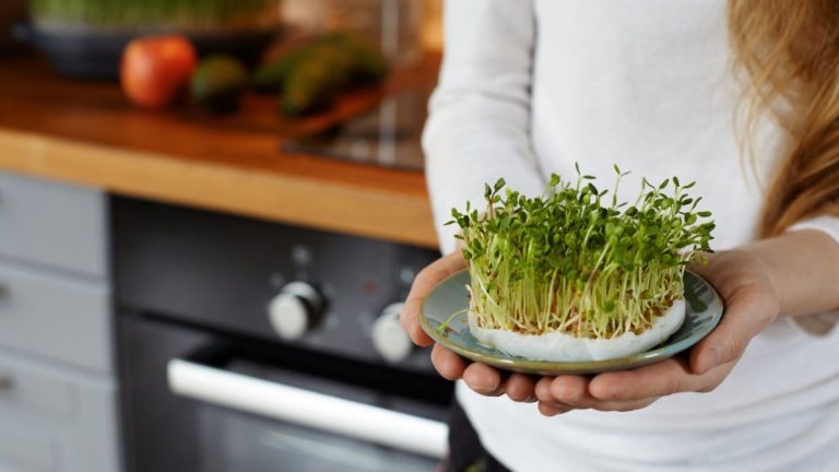 Микрозелень: как вырастить дома и добавить в свой рацион🌿💚