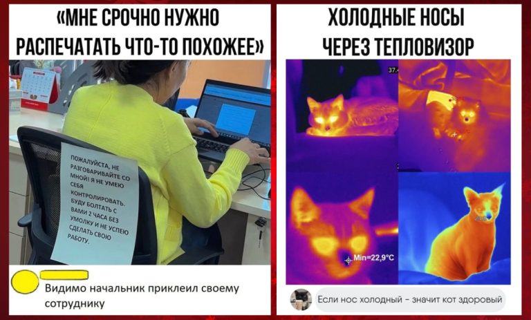 Острый соус для поста: лучшие комментарии, которые добавляют жару