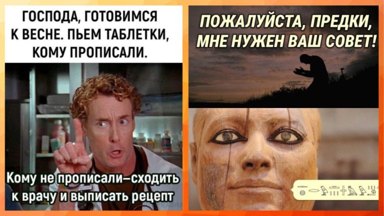 Смешные приколы для поднятия настроения в понедельник с утра